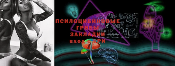 МДПВ Гусиноозёрск