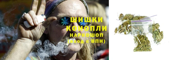 apvp Гусь-Хрустальный