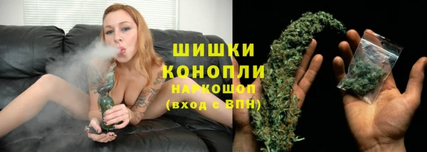apvp Гусь-Хрустальный