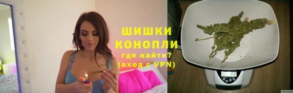apvp Гусь-Хрустальный