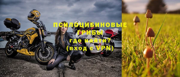 соль ск Гусев