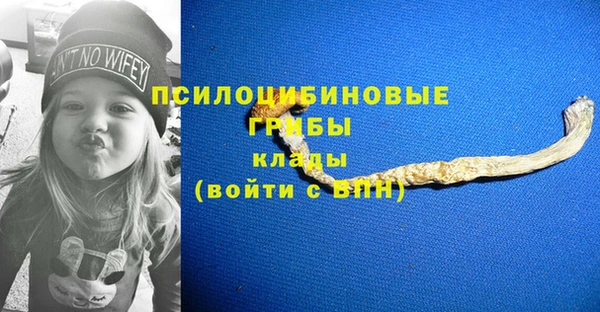 МДПВ Гусиноозёрск