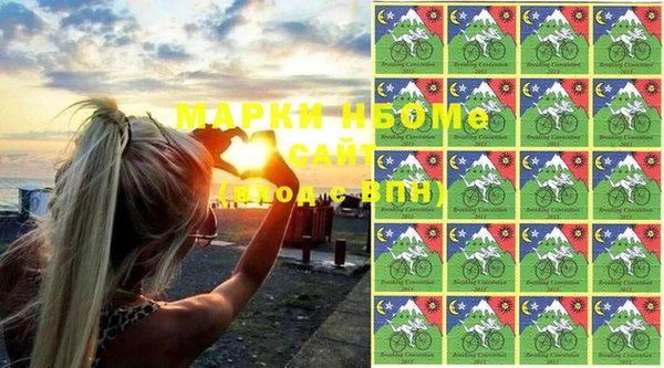 амф Горняк