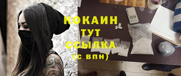 соль ск Гусев