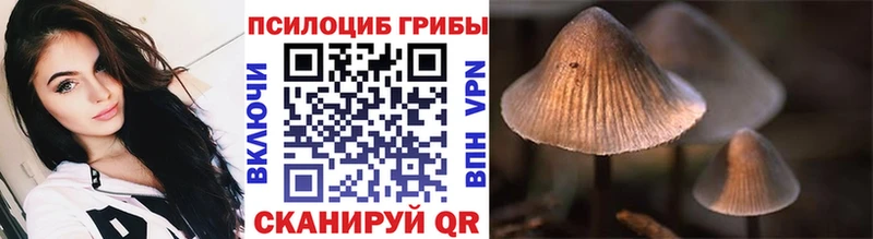 Купить закладки  Реж  Псилоцибиновые грибы Psilocybine cubensis 